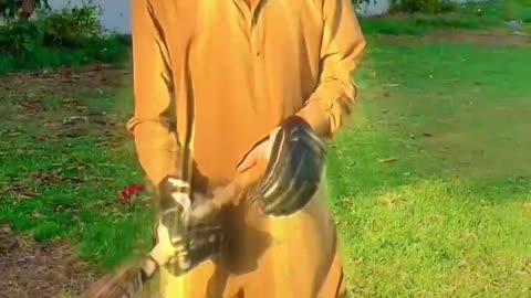 Cricket lovers Karachi