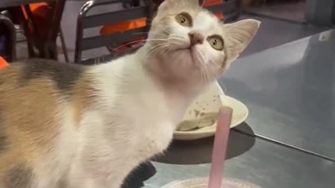 what?