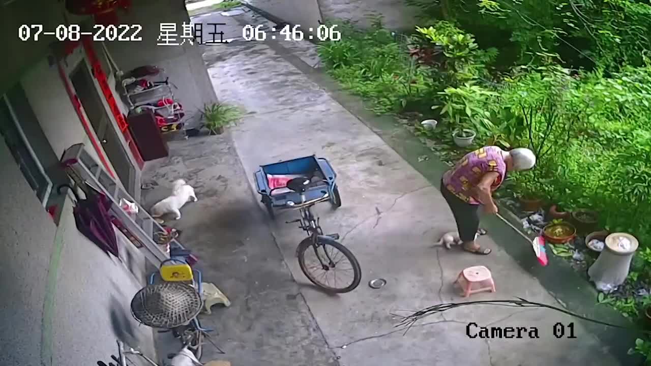 Funny Video