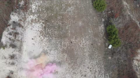 Right Way to do a Gender Reveal (Tannerite)