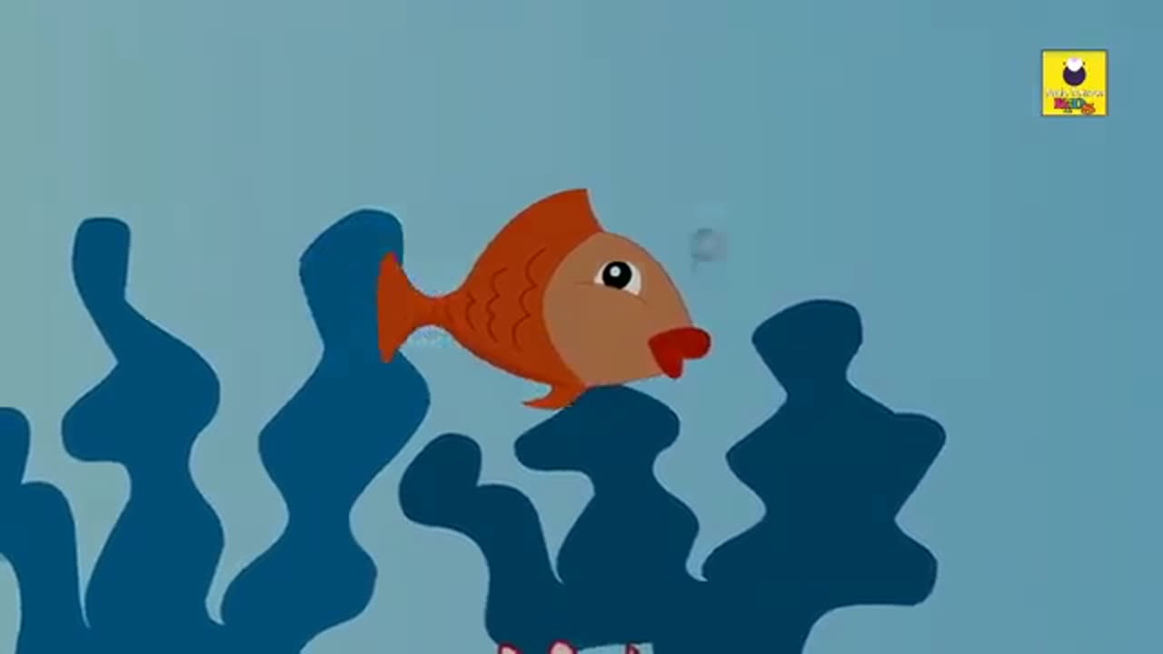 Clever Fish