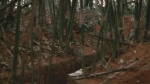 NVA bunkers Dak To 1967