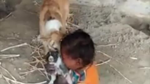 Watch a unique style of mother's love in the video