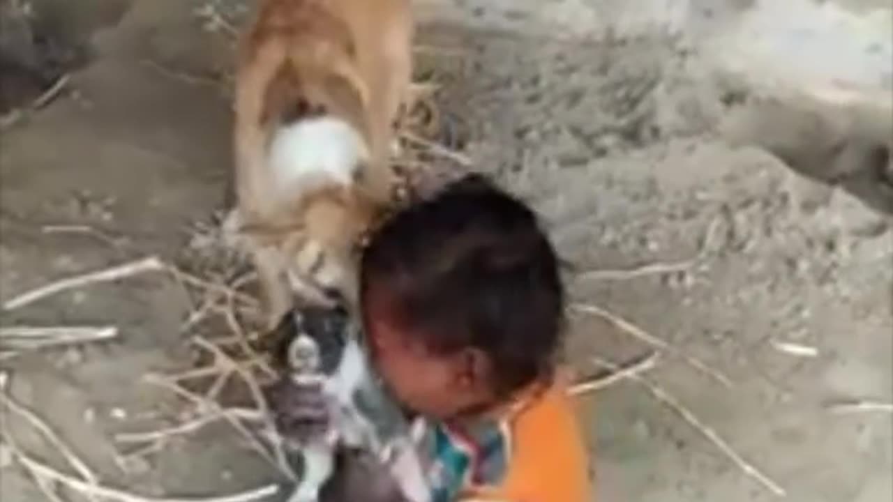 Watch a unique style of mother's love in the video