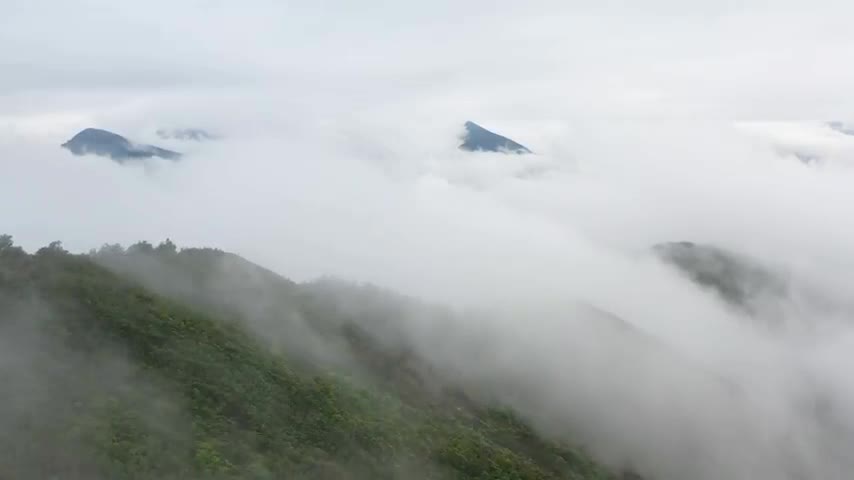 Scenic Nature - Gentle Worship Instrumentals