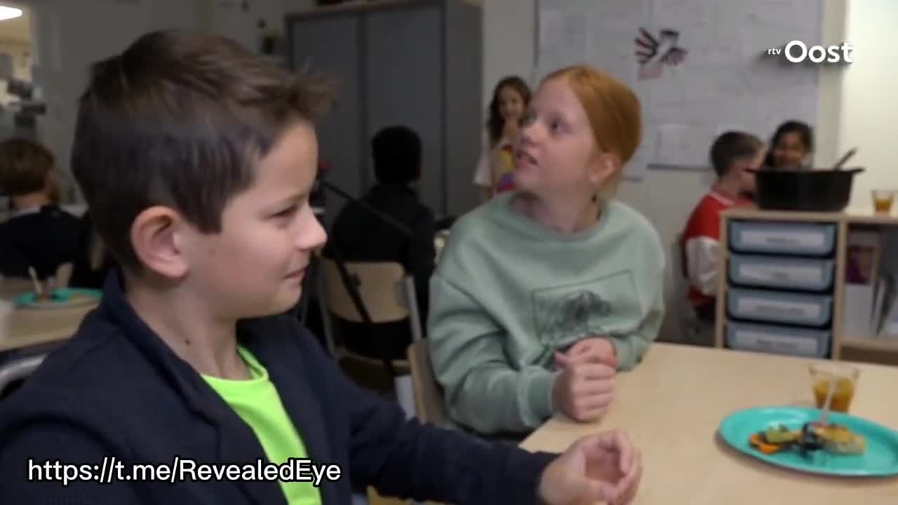 Escolas oferecem insetos e larvas, na Holanda.