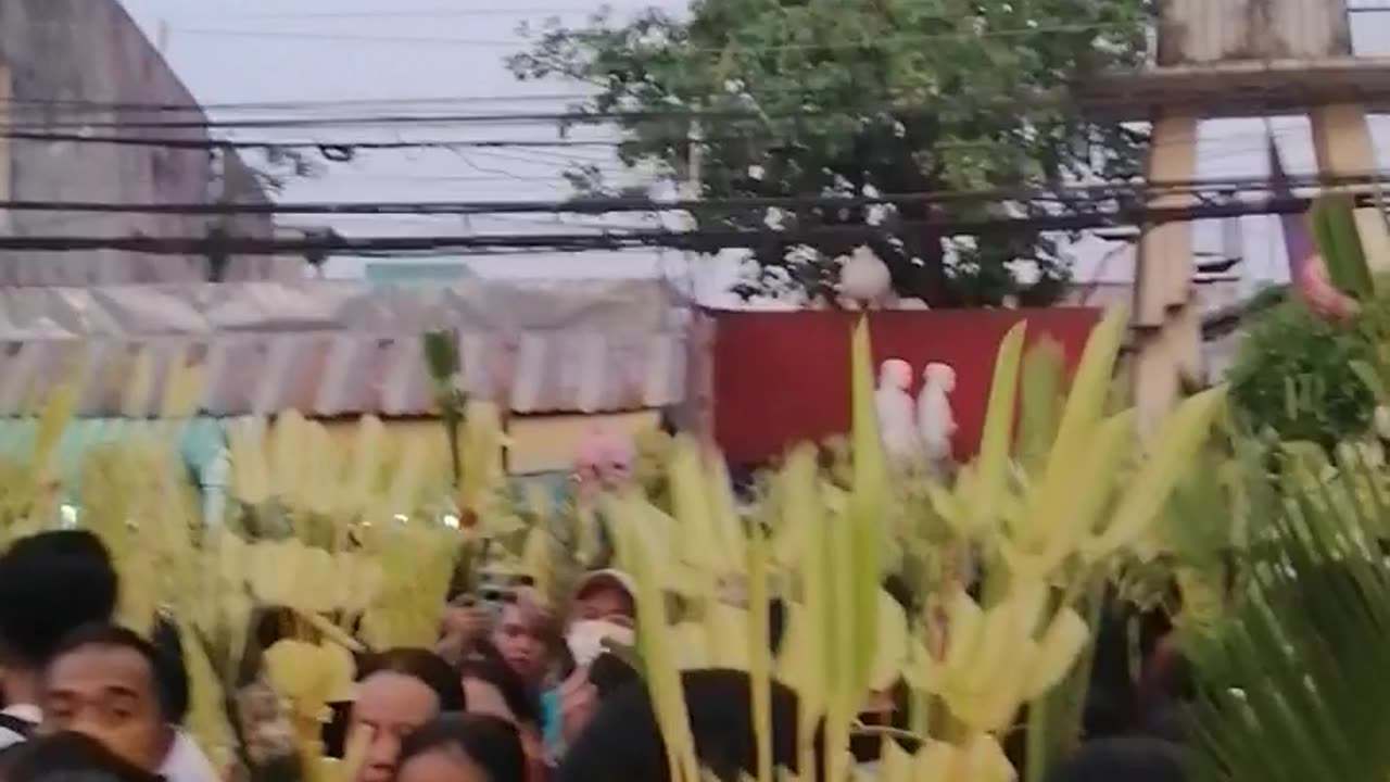 Palm Sunday