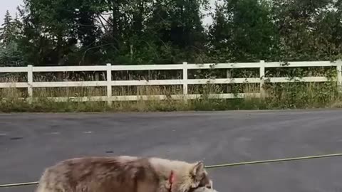 She wants a rematch!