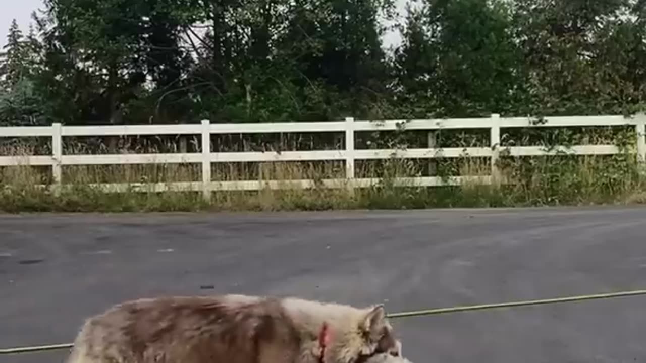 She wants a rematch!