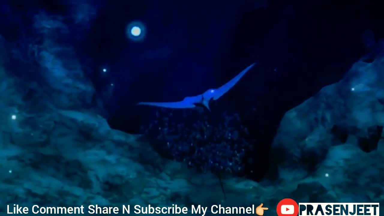 Amazing SAFAR of 3d Sea Video By Prasenjeet Meshram