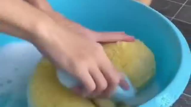 These dogs are really cute