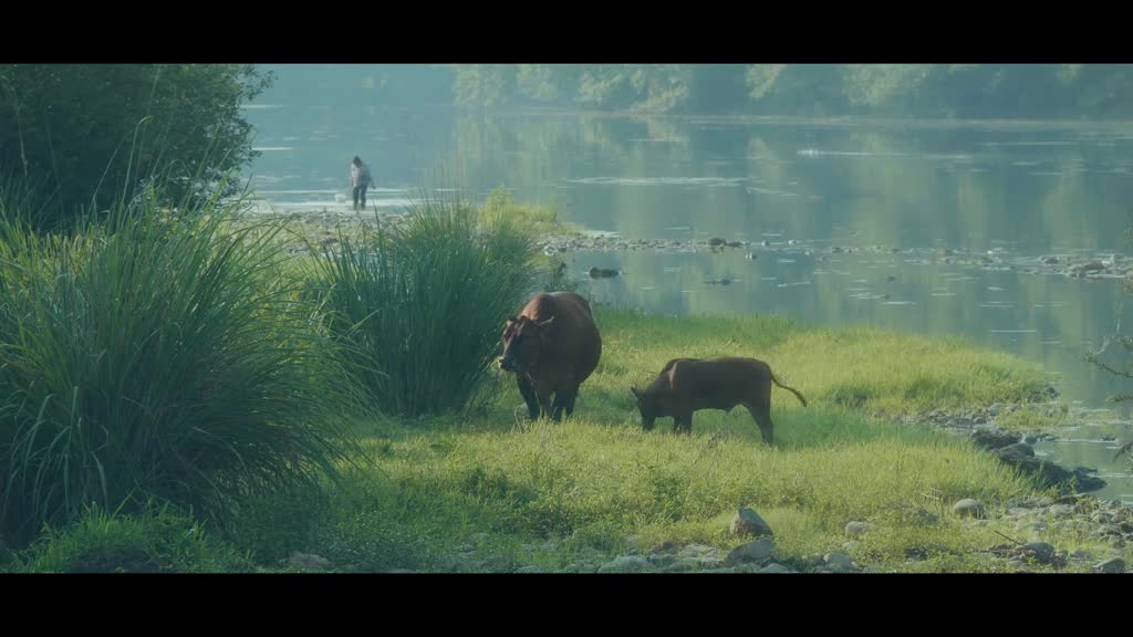 When will you come to see the fairies in Jiangnan