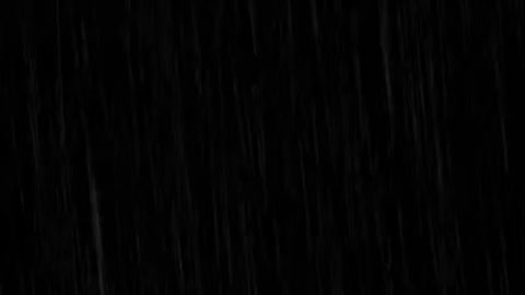 Gentle rain🌧️🌧️