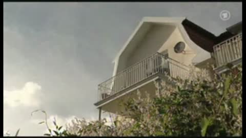 Finanzheuschrecken auf Raubzug