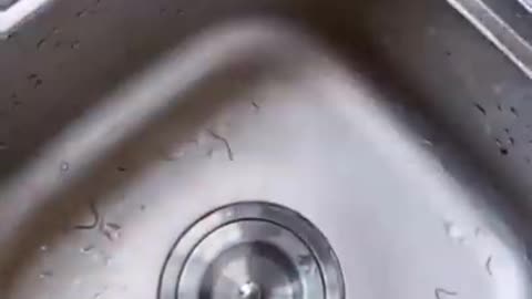 Life hacks-smart craft ideas for plastic bottles recycling ideas how to make use of the waste item