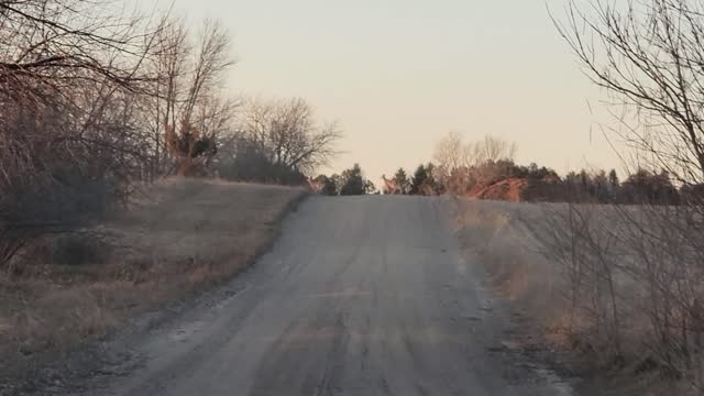 A few deer ran jumped out at us tonight.