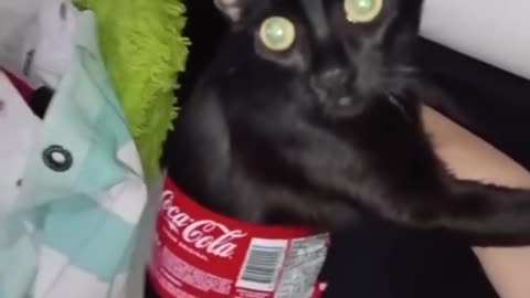 😹😹😹🤣