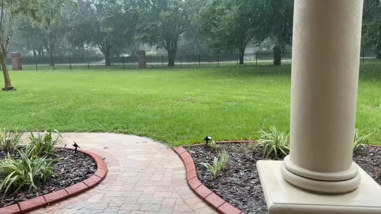 Great Dane Prefers To Stay Dry As She Checks Out Hurricane Idalia Rain & Winds