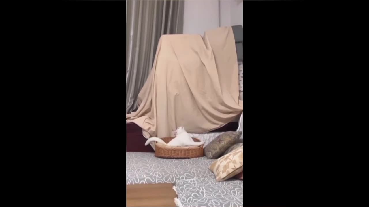 It's fun to see ☺️ these supper funny and cute animals