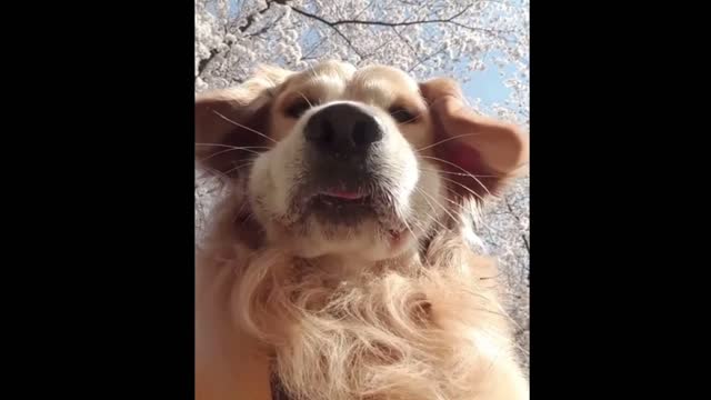 When you accidently open your selfie cam , but treats comes out from it!