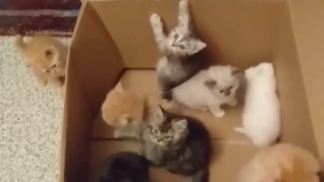 Welcome to our new home