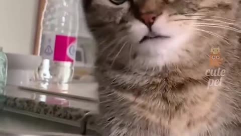 Share it with someone cute and funny!