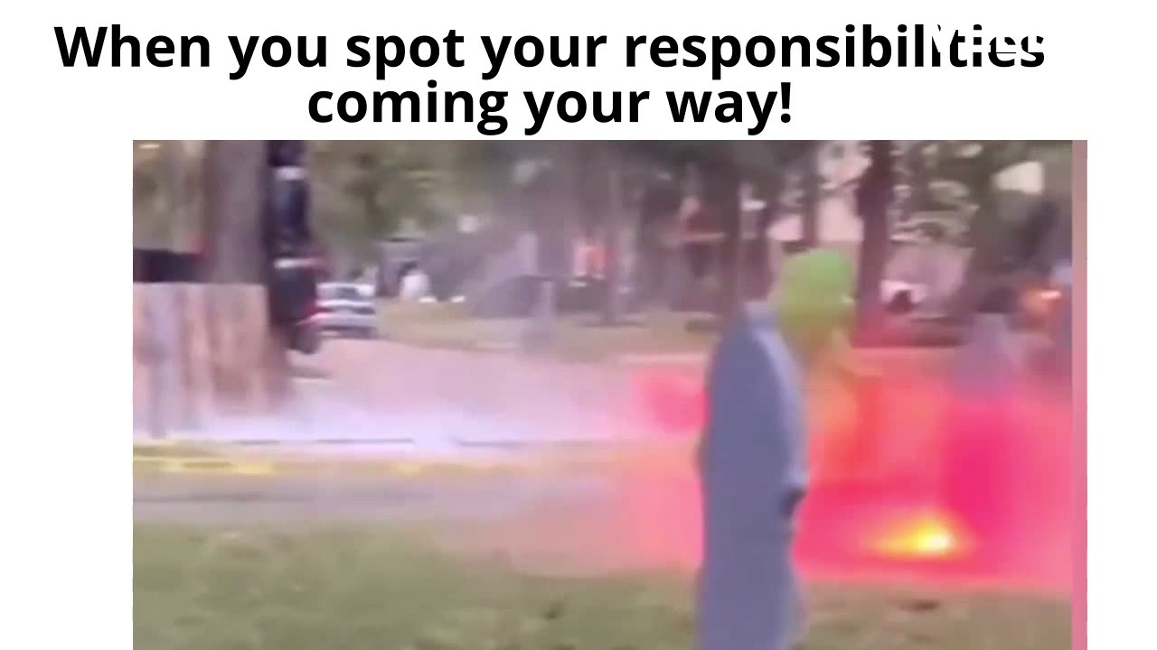 Memes i make on the internet from my own planet