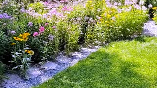 Butterfly Garden in Sparta NJ 2021