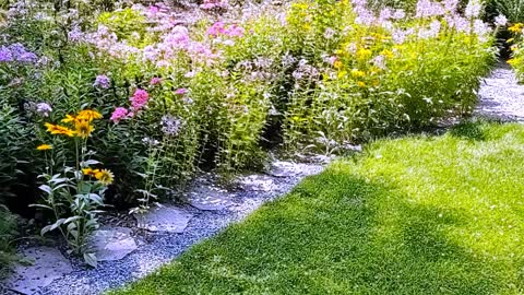 Butterfly Garden in Sparta NJ 2021