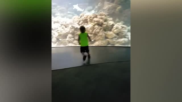 Funniest Babies Movie 13
