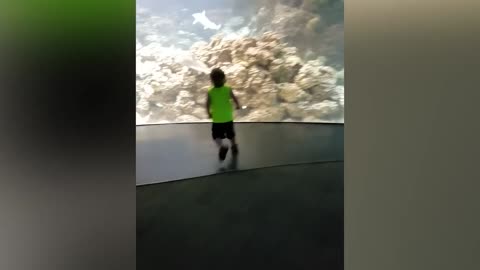 Funniest Babies Movie 13