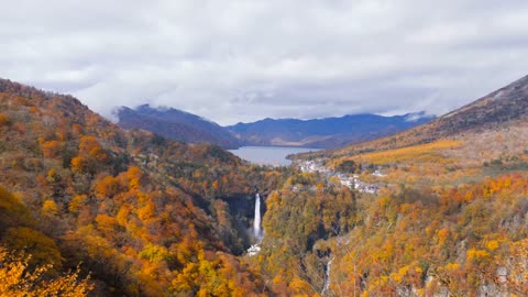 Enchanting Autumn Forests with Beautiful Piano Music