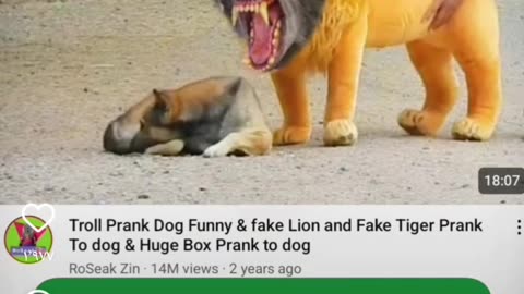 https://youtube.com/shorts/6H3xNg7f_hw?feature=share