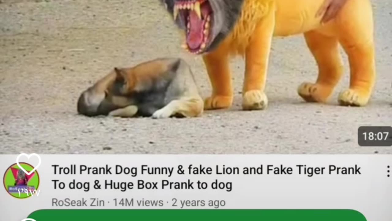 https://youtube.com/shorts/6H3xNg7f_hw?feature=share
