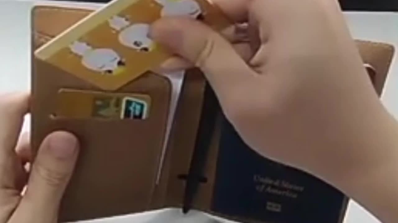 Unlock your journey with our compact handheld passports
