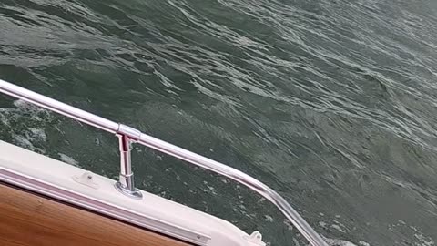 First test drive