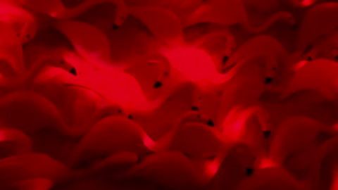 Abstract Flashing Red Flamingo Lights