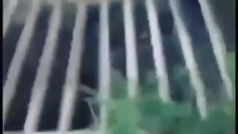 No problemo. Mexico will pay for it. 🤬🤣🤬🤮🥷❌🥸🤷🏻‍♂️