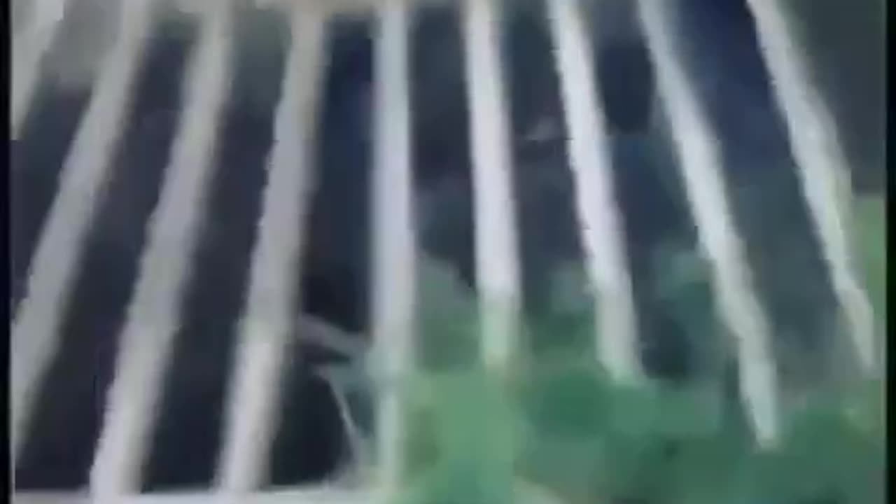 No problemo. Mexico will pay for it. 🤬🤣🤬🤮🥷❌🥸🤷🏻‍♂️