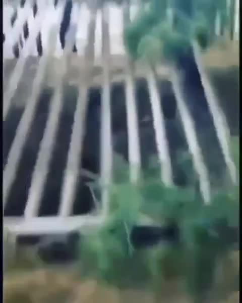 No problemo. Mexico will pay for it. 🤬🤣🤬🤮🥷❌🥸🤷🏻‍♂️