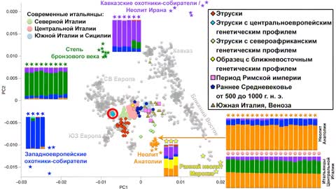 Этруски это. Происхождение и наследие этрусков по данным археогенетики