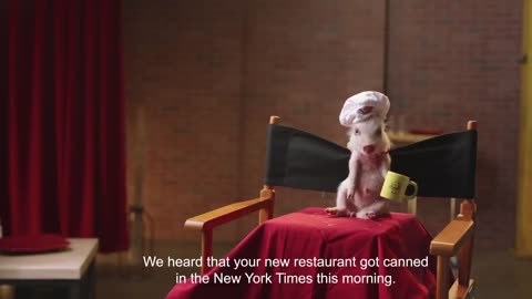 The Cat Cooking Show 2