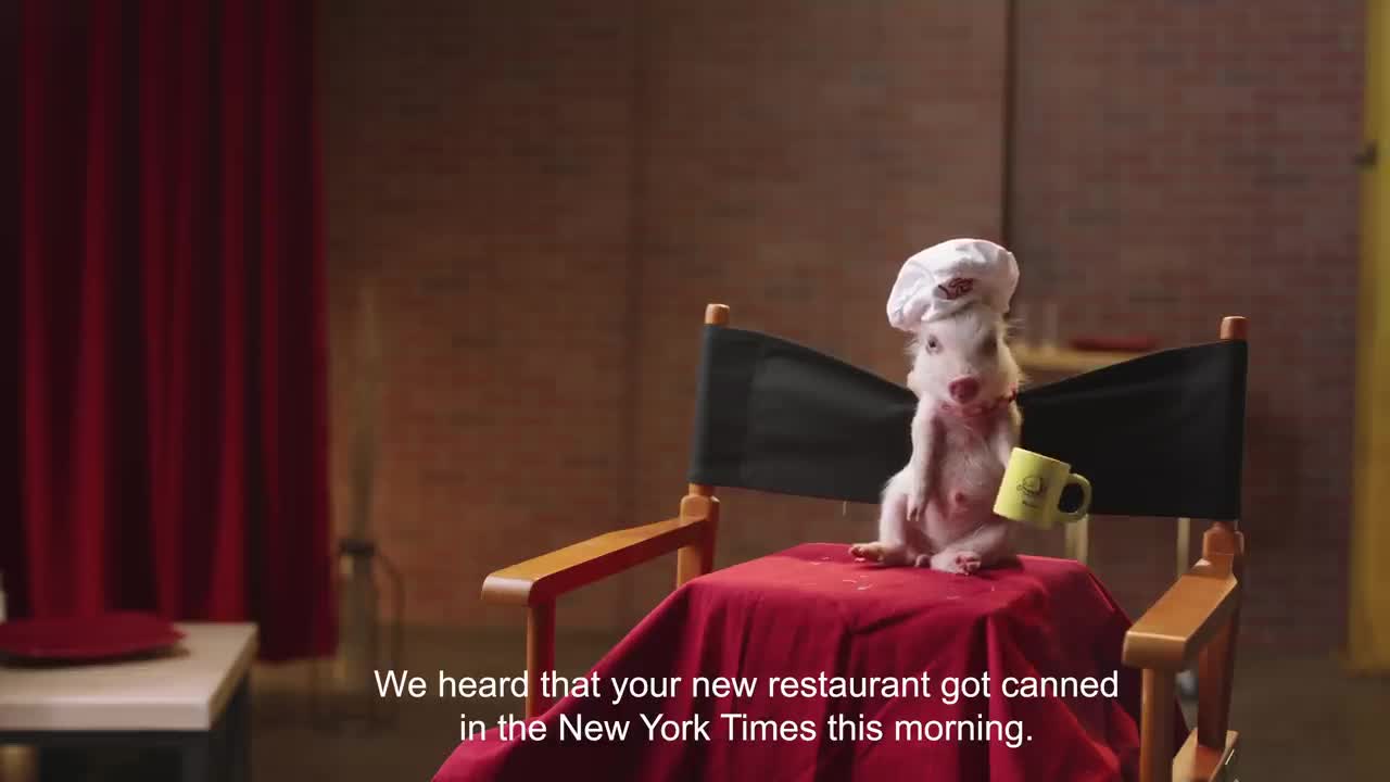The Cat Cooking Show 2