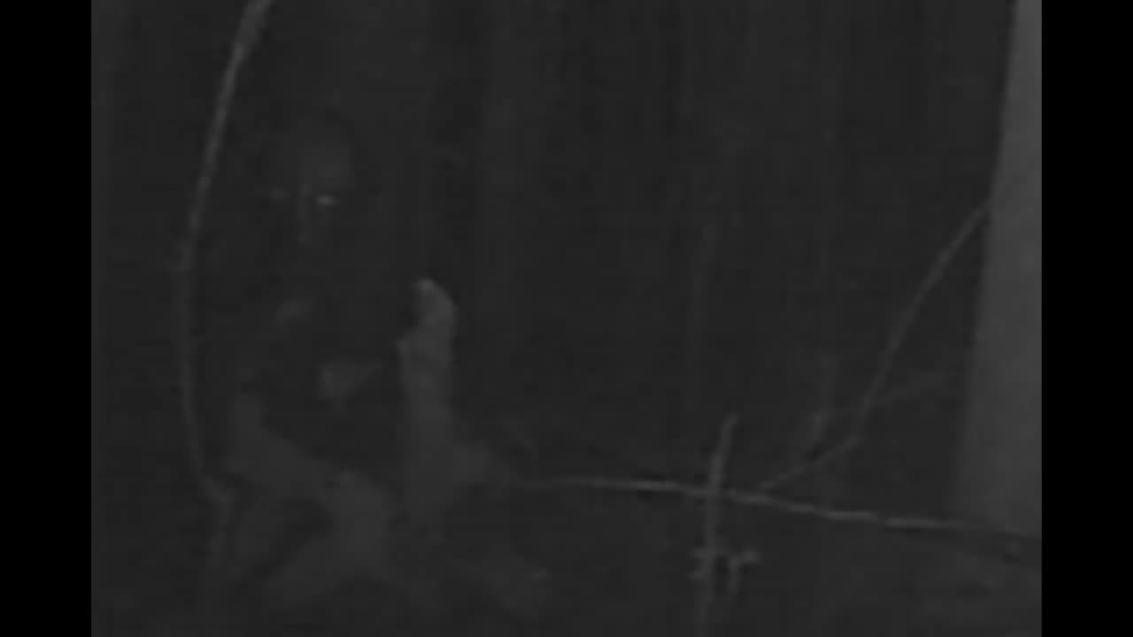 What the Los Angeles Alien looks like.
