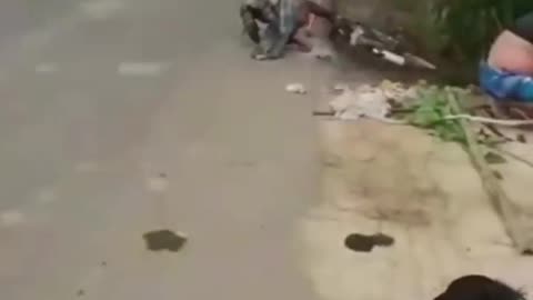 funny video
