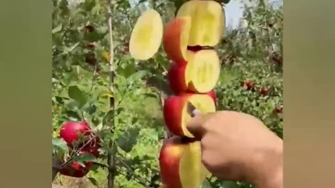Best satisfying video