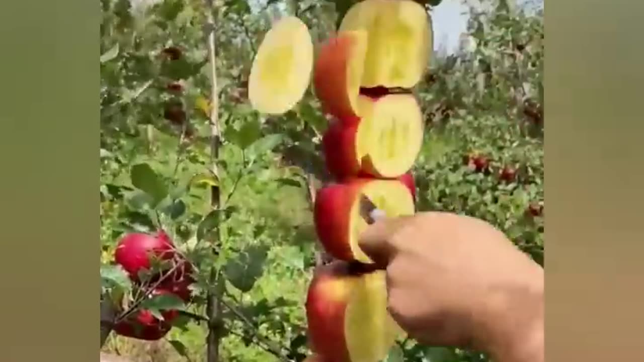 Best satisfying video