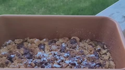 Fruit cobbler