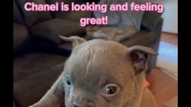 Do you like it when it winks at you?