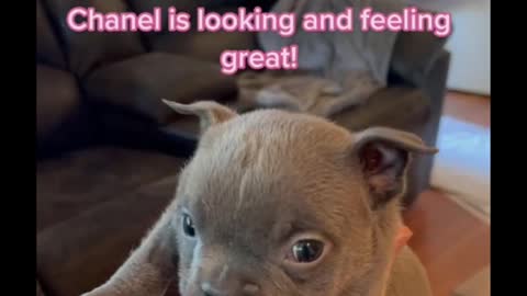Do you like it when it winks at you?